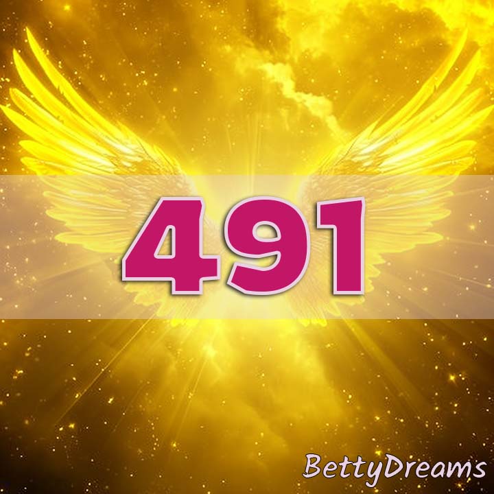 491 angel