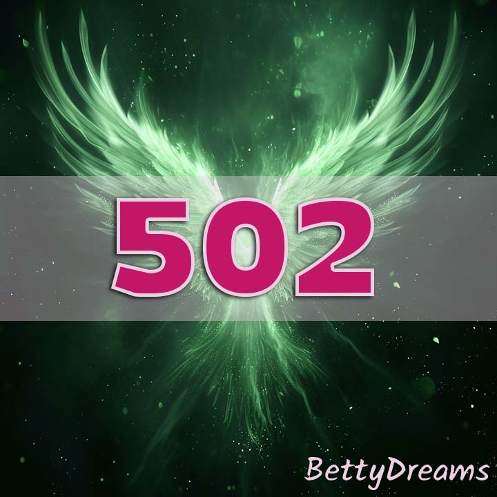 angel 502