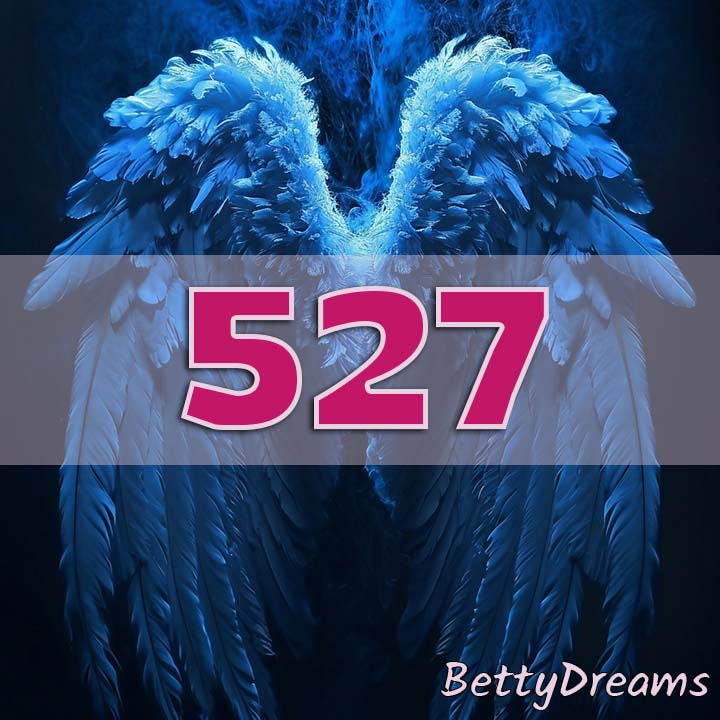 527 Career and Professional Growth