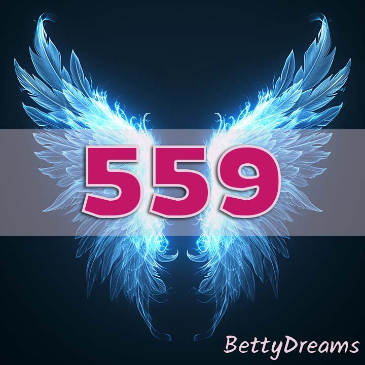 angel number 559