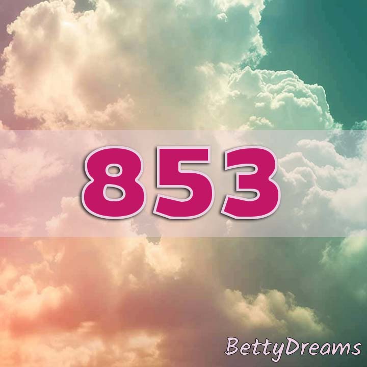 sky view 853