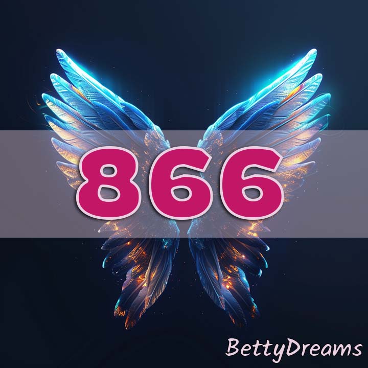 angel 866