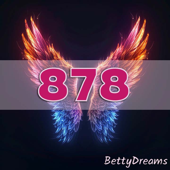 meaning of 878 angel wings