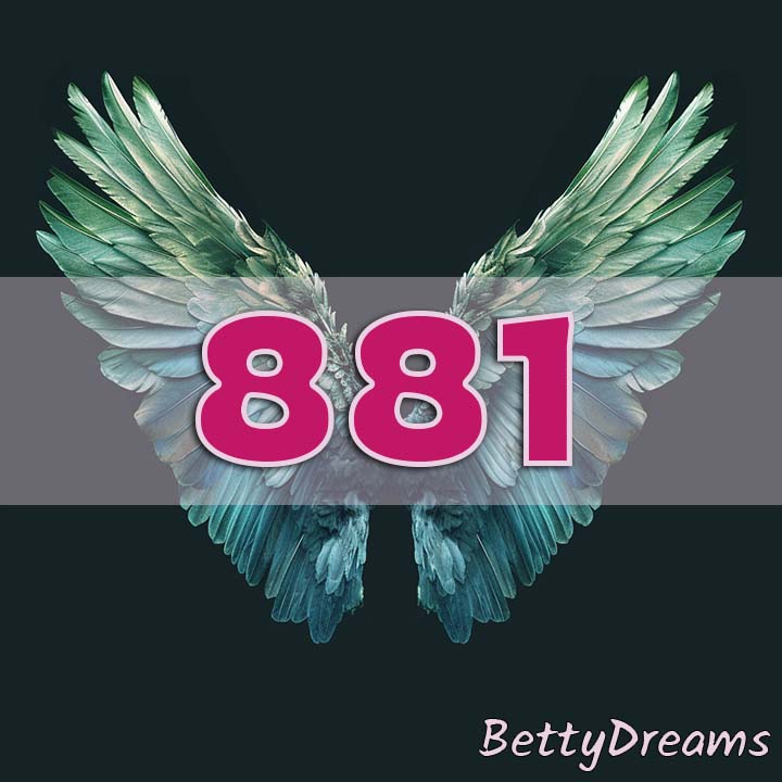 meaning of 881 angel number