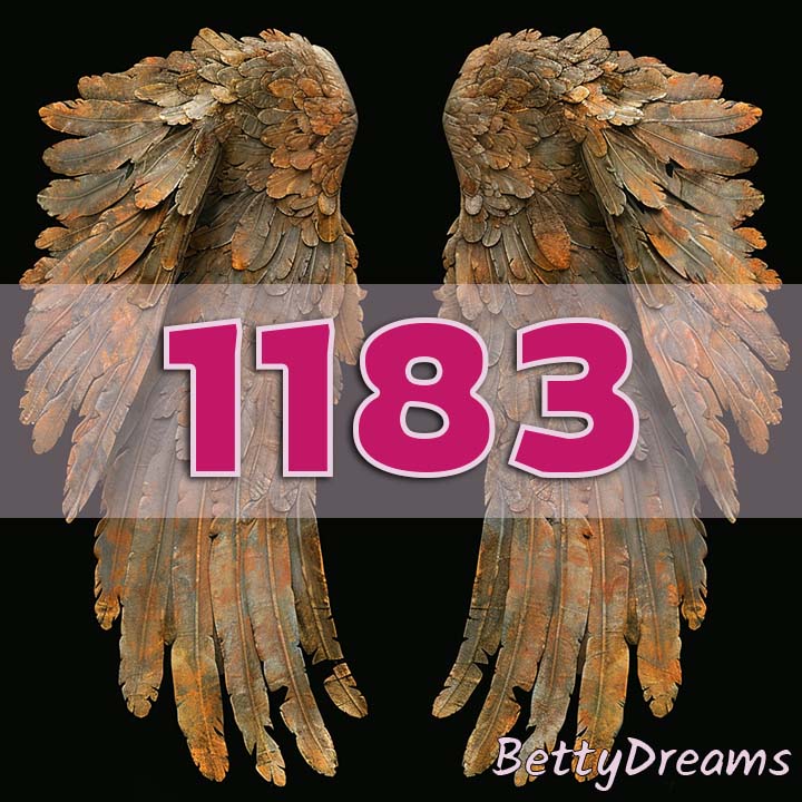 1183 Decision Making and Choices