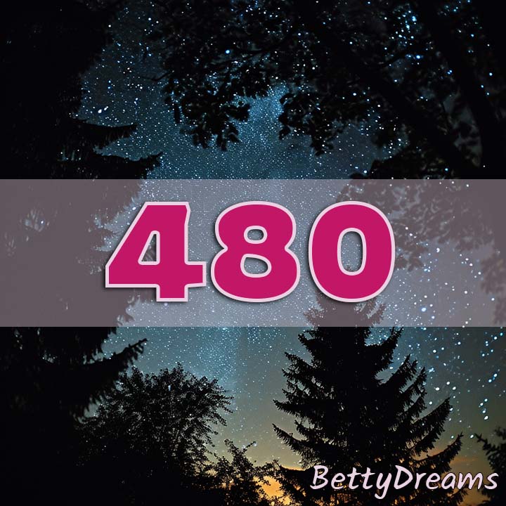 480 night