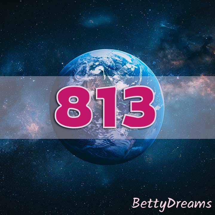 813 earth view