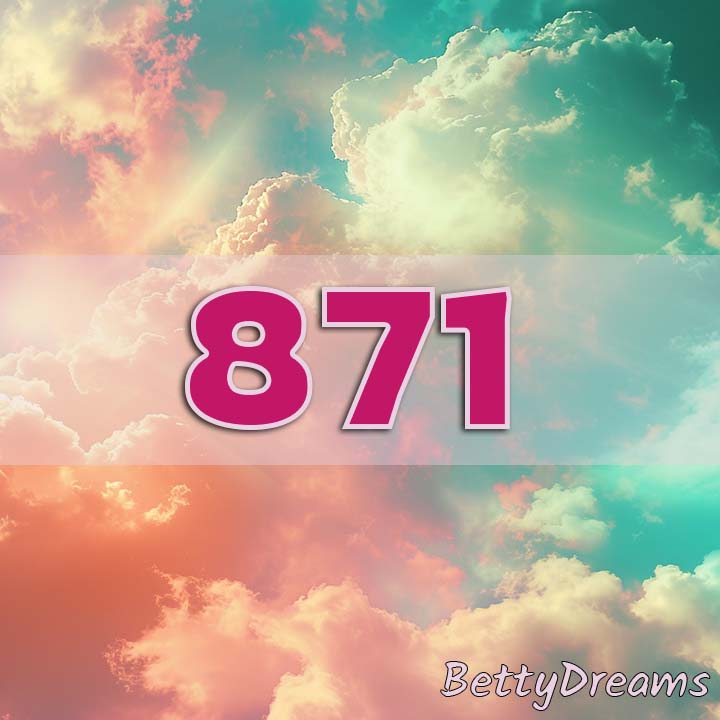 sky 871
