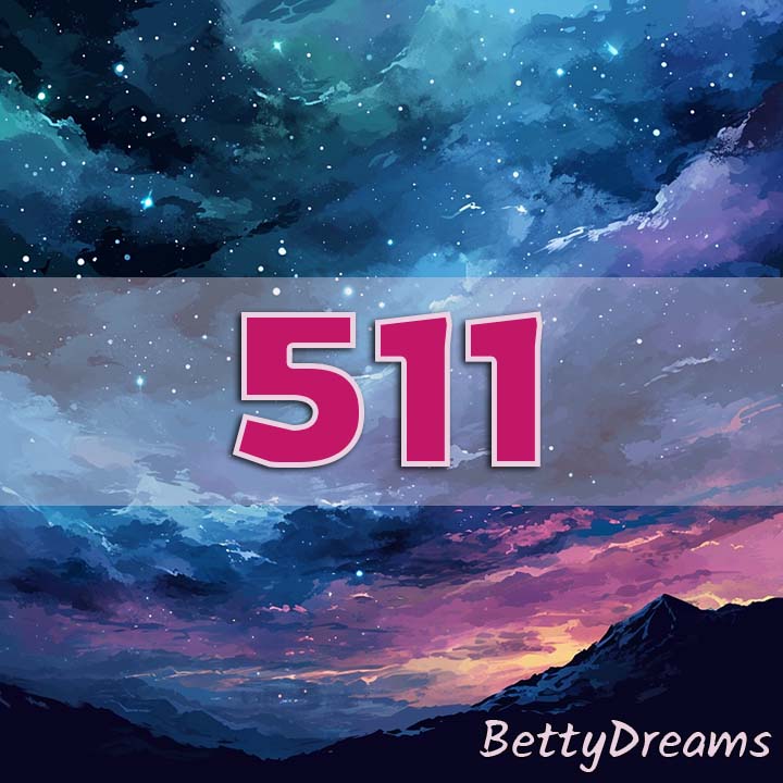 511 number