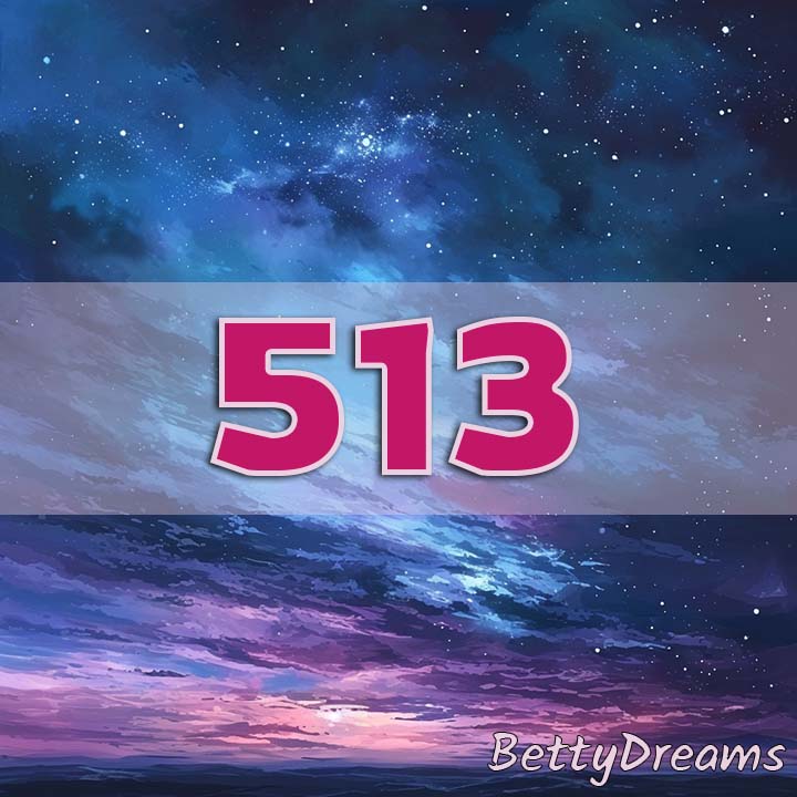night sky angel number 513