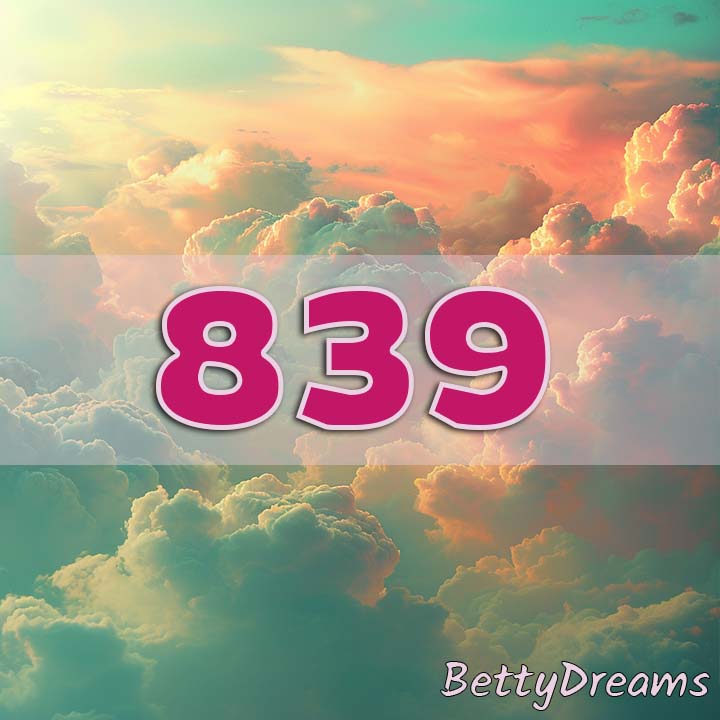 839 sky and clouds