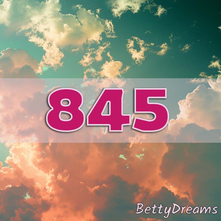 sky 845