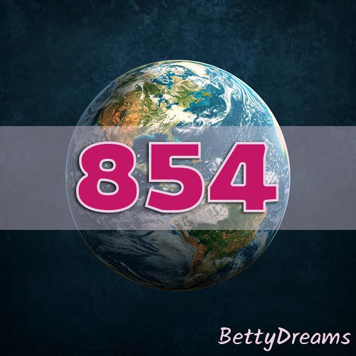 earth view 854