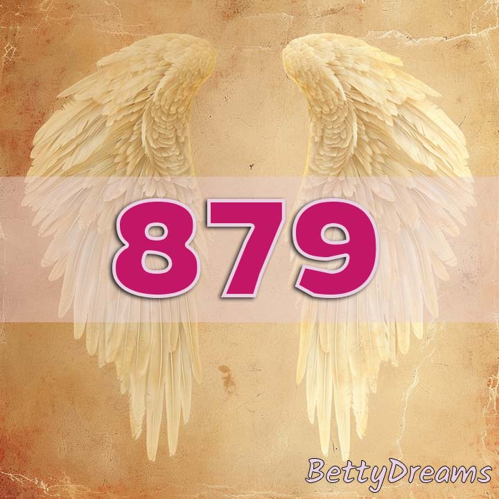 879 angel