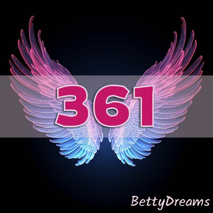 angel 361