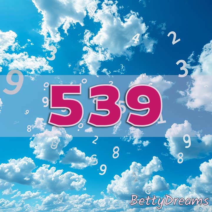 539 number meaning