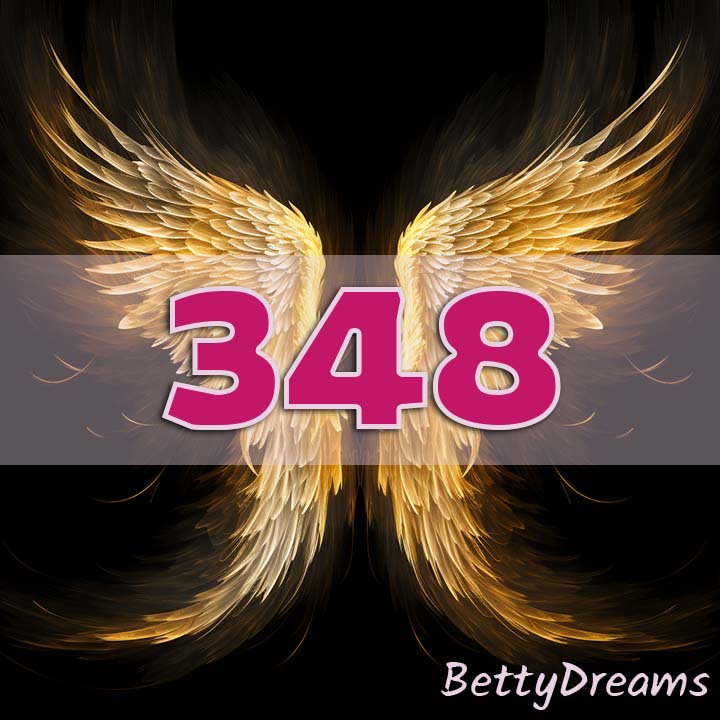 Intuition 348