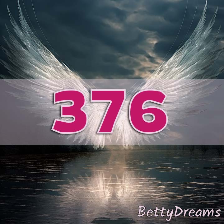 Intuition 376