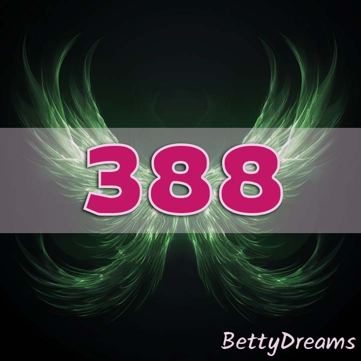 Intuition 388