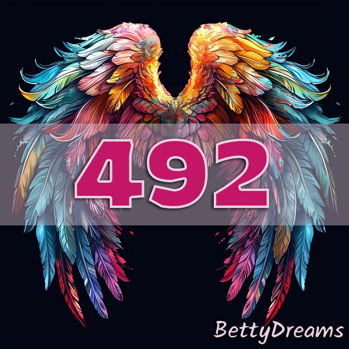 Intuition 492