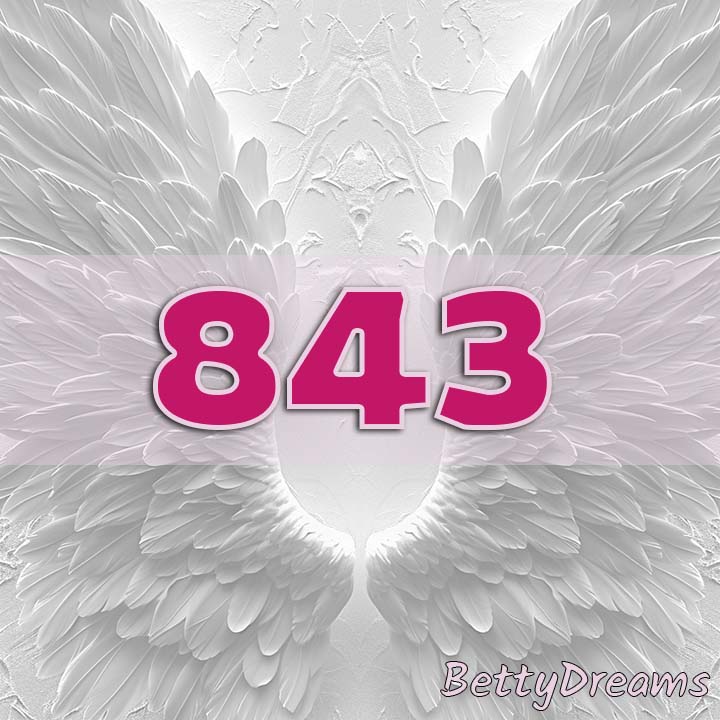 meaning of 843 angel number