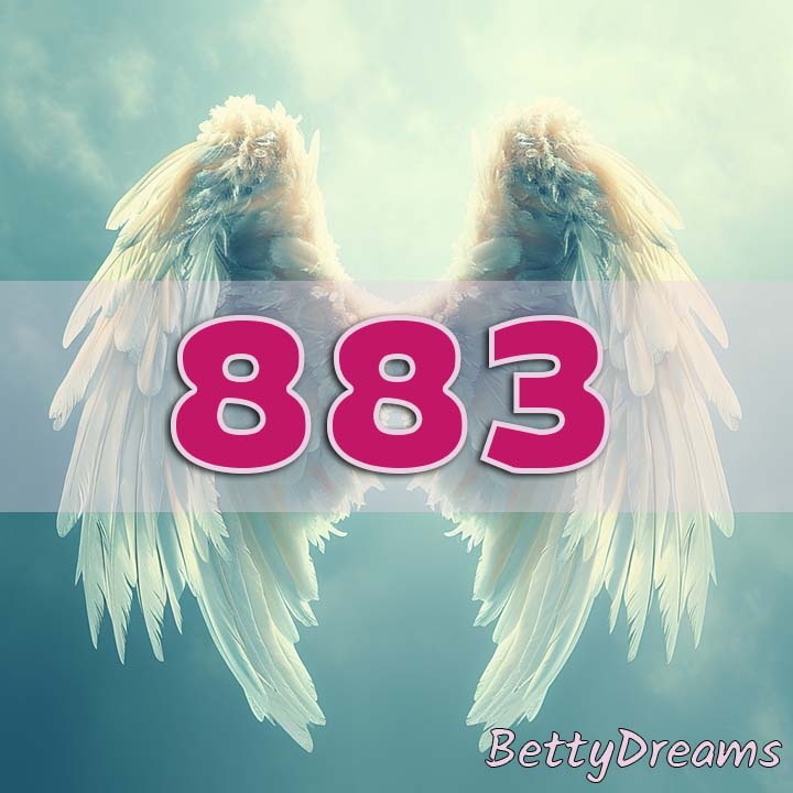 Intuition 883