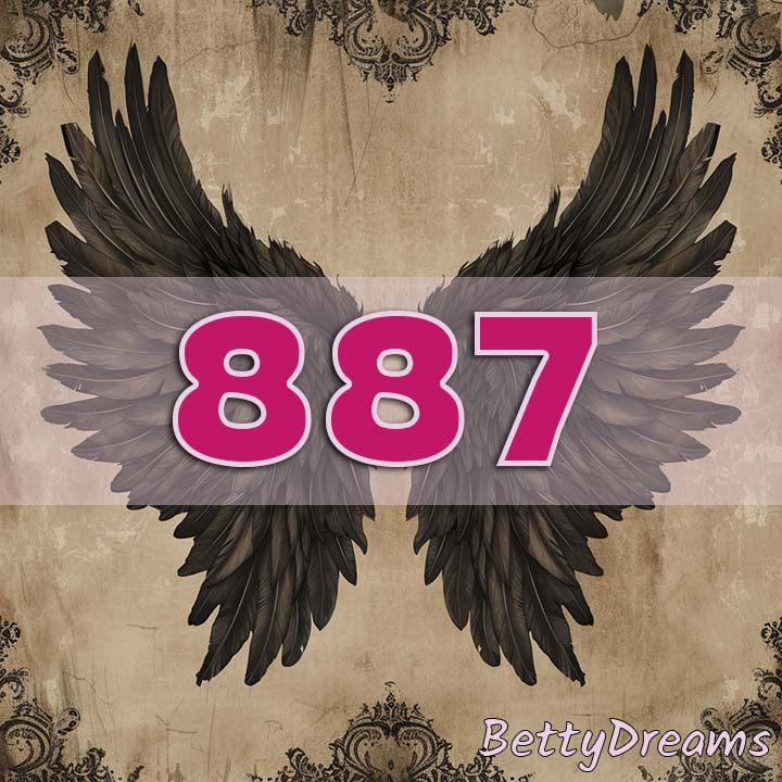 Intuition 887