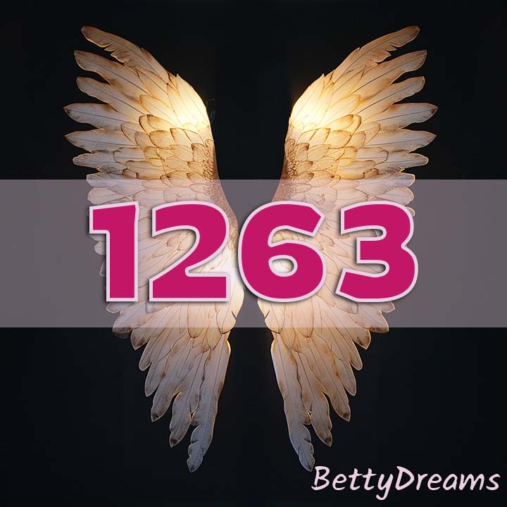 angel number 1263 meaning