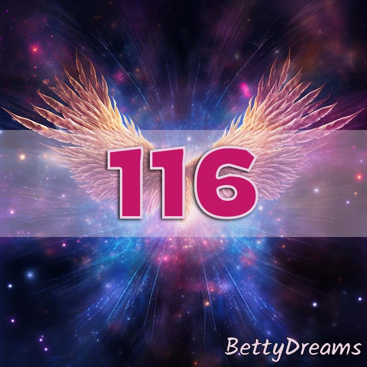 Numerology 116