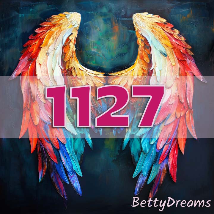 angel number 1127
