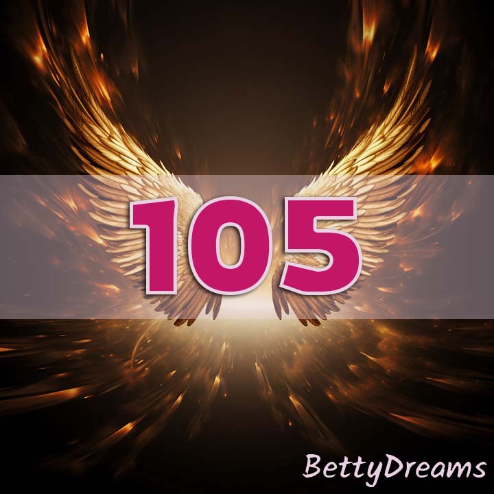 meaning of 105