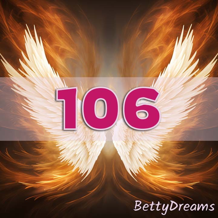 meaning of 106