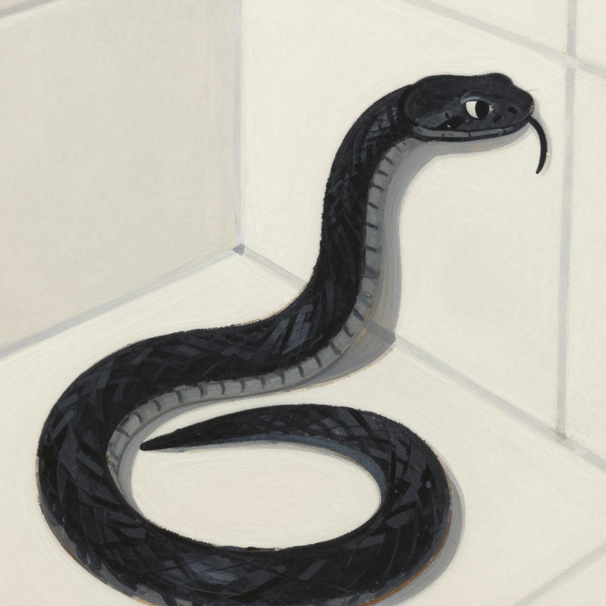 Dream About Black Snake in House