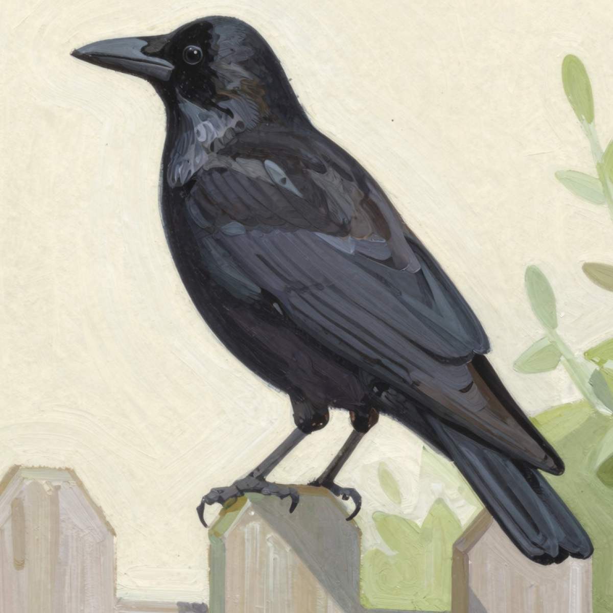 Dream About Crows