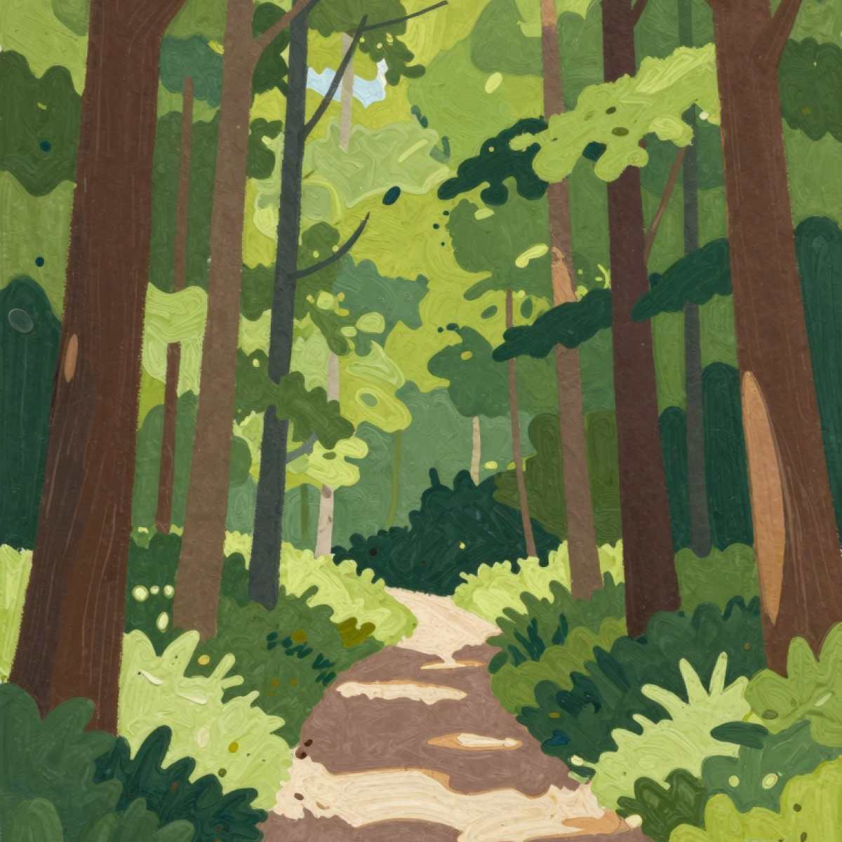 Dream About Forest
