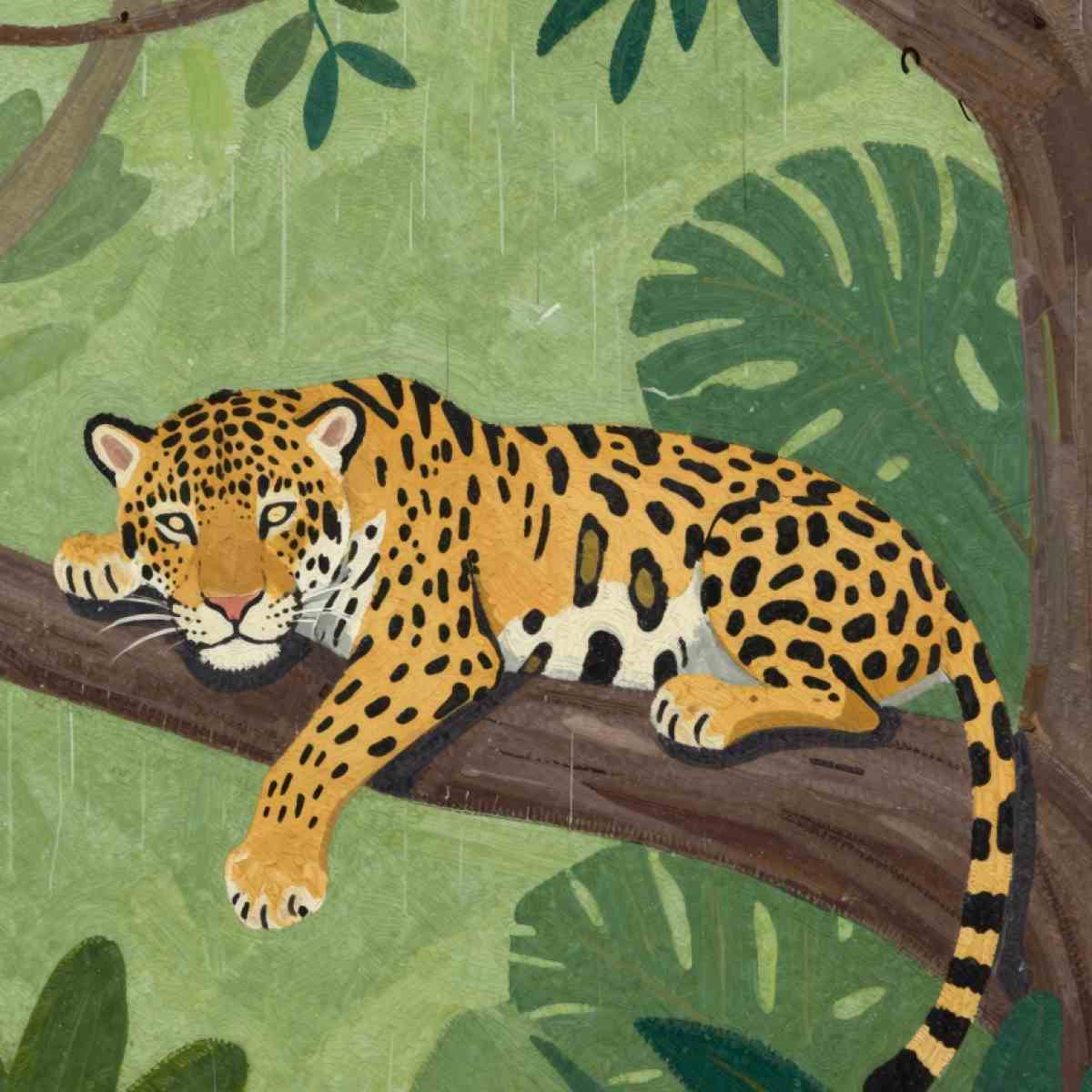 Dream About Jaguar