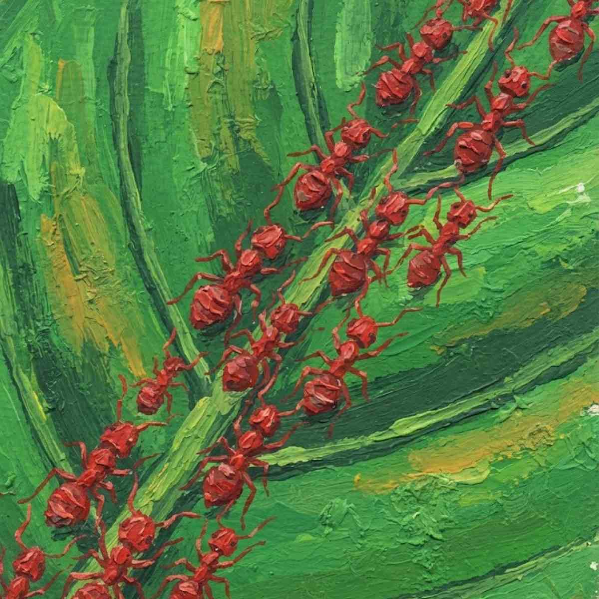 Dream About Red Ants