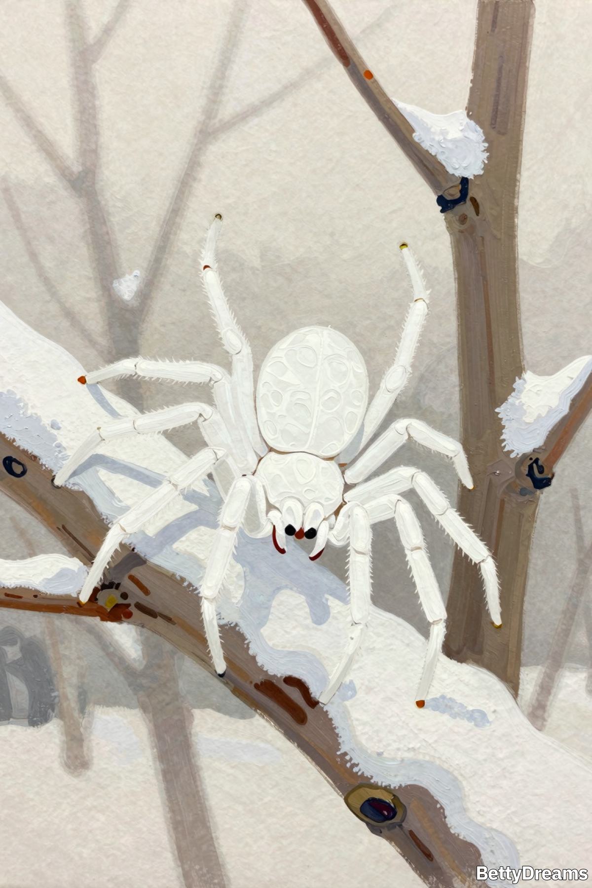 white spider dream interpretation