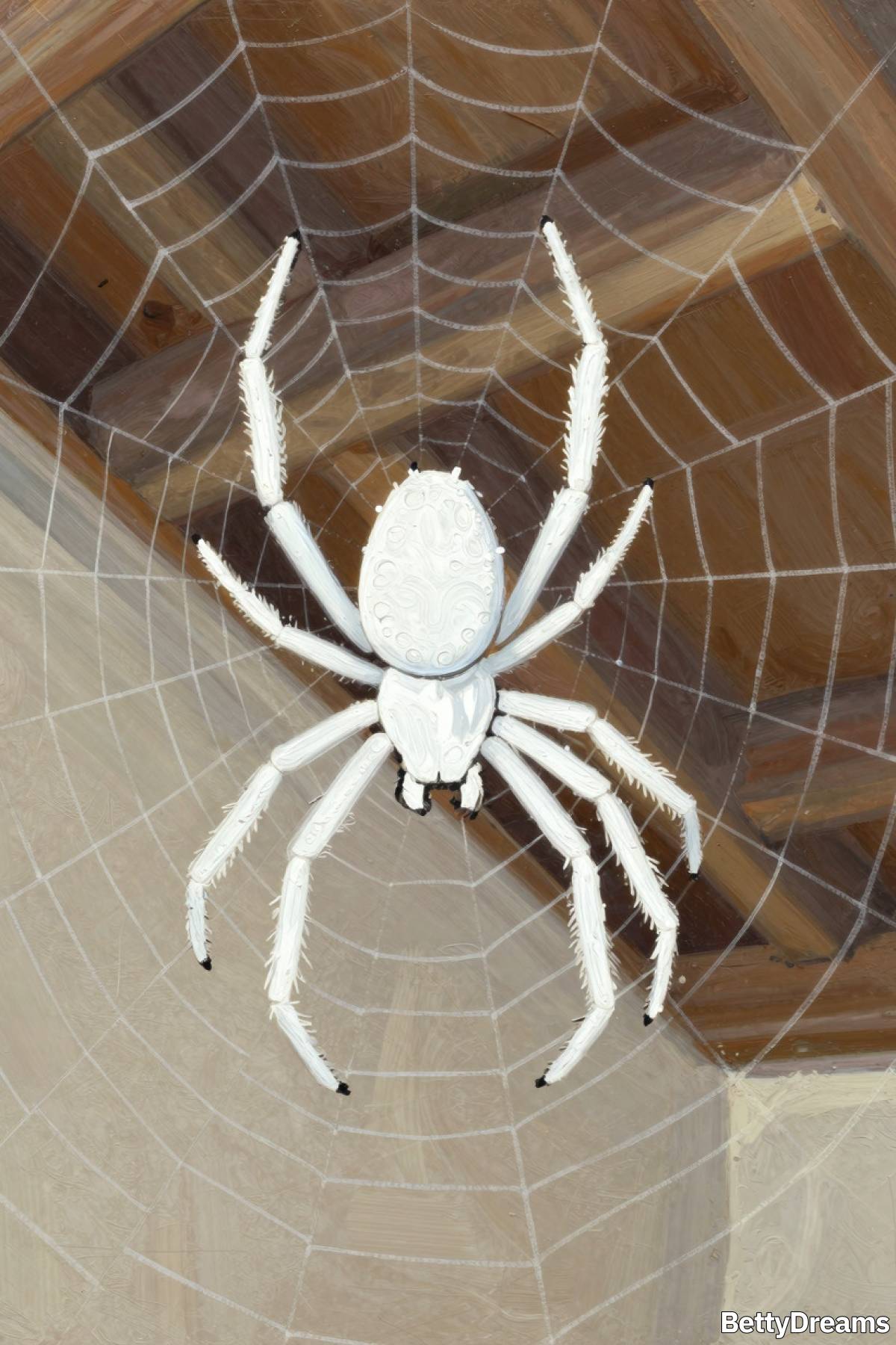 white spider dream meaning